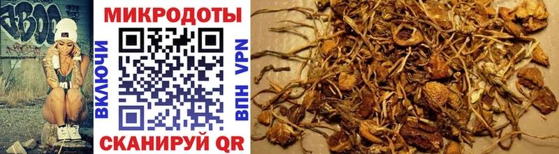 сколько стоит  Чусовой  Псилоцибиновые грибы ЛСД 